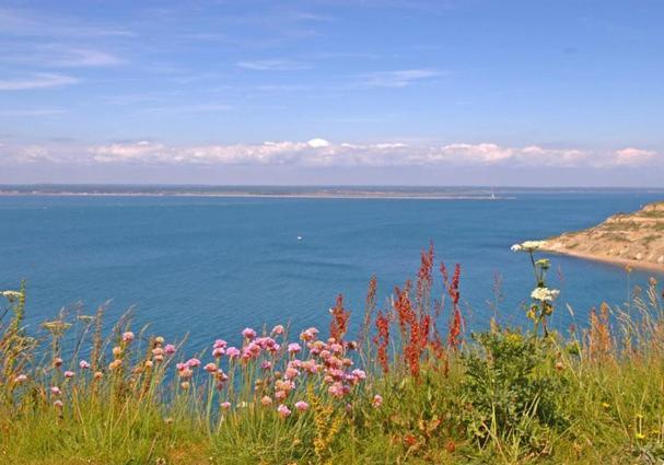 Crofton House Garden Apartment Ryde  Esterno foto